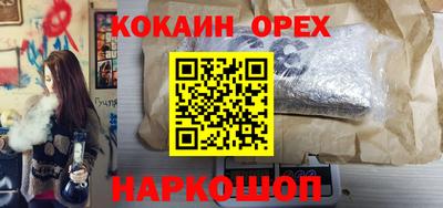 прущие грибы Новозыбков
