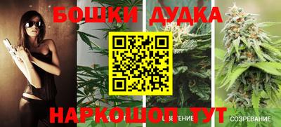 герыч Новодвинск