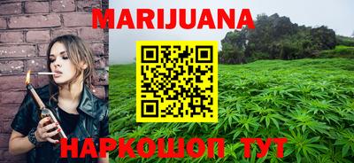 прущие грибы Новозыбков