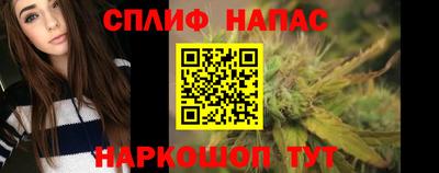 прущие грибы Новозыбков