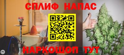 прущие грибы Новозыбков