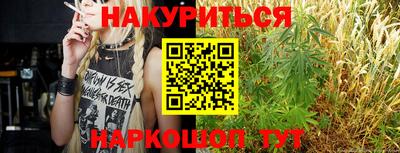 прущие грибы Новозыбков