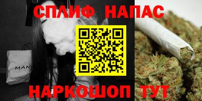 прущие грибы Новозыбков